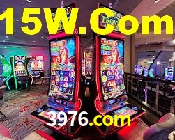3976.com